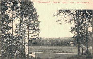 Netherlands Bloemendaal Duin en Daal Vintage Postcard 08.34