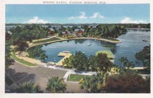 Florida Tarpon Springs The Spring Bayou