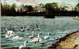 Boston Massachusetts Ma Postcard - Jamaica Plain Pond - 1910