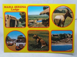 Mara Serena Lodge Masai Mara Game Reserve  Kenya Vintage Multiview Postcard