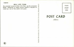 Sea Life Park Hawaii KEIKI The Porpoise Vintage Postcard Standard View Card