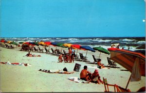 USA Virginia Beach Virginia Chrome Postcard 05.29