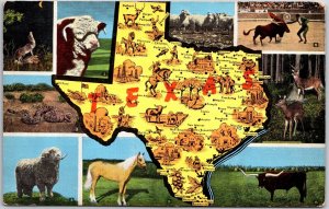 Texas State Map Animals Multi View Coyotes Rattlesnake Longhorn Vintage Postcard
