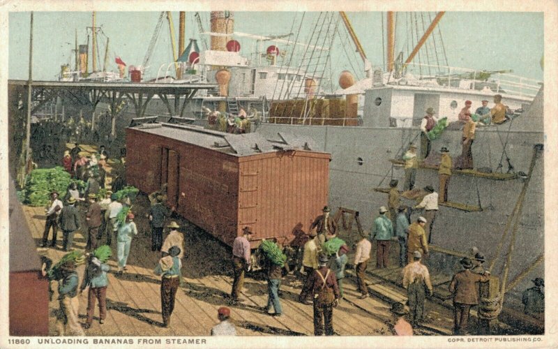 USA Unloading Bananas From Steamer New Orleans 06.81