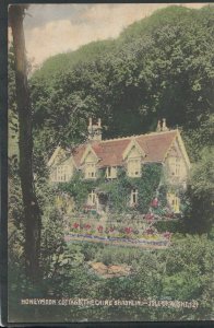 Isle of Wight Postcard - Honeymoon Cottage, The Chine, Shanklin   RS12956