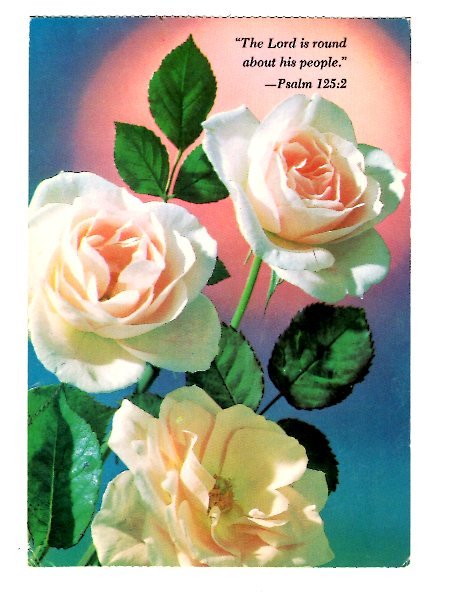 Psalm 123:2 Biblical Quote, Roses, Used Saskatchewan, 1979