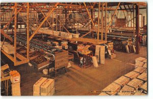 Orange & Grapefruit Packing Plant in Sunny Florida, St Petersburg 1943 Postcard