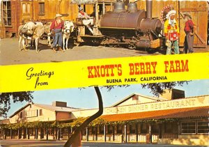 Greetings from Knott's Berry Farm Buena Park California Postcard