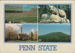 America Postcard - The Pennsylvania State University  RR13072