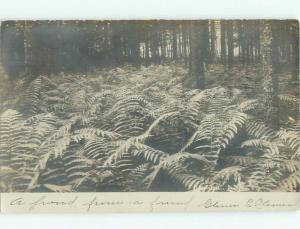 Pre-1920 rppc NICE VIEW Hatfield Corner In Hopkinton - Near Concord NH i7927