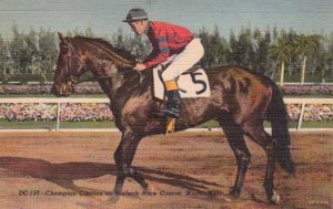 Postcard Horse Champion Citation at Hialeah Race Course Miami FL