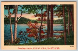 1950-60's GREETINGS FROM MT MOUNT AIRY MARYLAND MD VINTAGE LINEN POSTCARD 43343