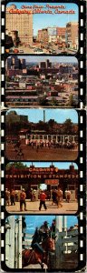 !950s Cine Strip Presents Calgary Alberta Postcard Rodeo Stampede Bronco Busting