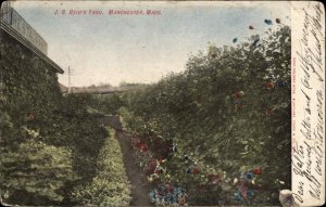 Manchester Massachusetts MA J.S. Reid's Yard c1910 Vintage Postcard