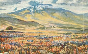 Artist impression California Springtime Plein Air Painting 1920s Postcard 10772