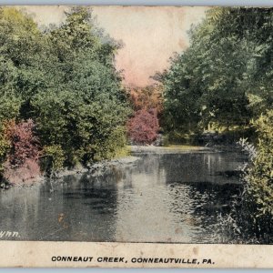 c1900s Conneautville, PA Conneaut Creek Hand Colored Pub FG Flynn Postcard A194