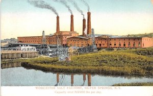 Worcester Salt Factory Silver Springs, New York