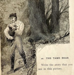 1878 Print The Tame Bear Lessons In English 6 x 4.75 Antique