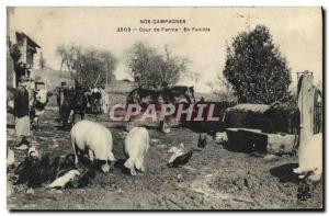 Postcard Old Pig Pig Farm Family Court
