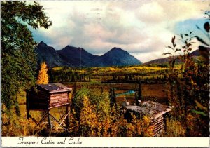 Alaska Little Tok River Trapper's Cabin and Cache Near Tok