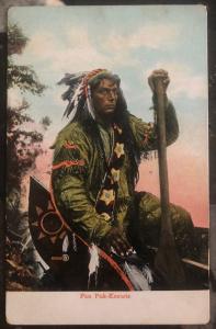 Mint PPC Picture Postcard Native American Indian Pau Puk Keewis