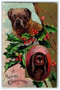 1908 Merry Christmas Mastify Dog Holly Berries Embossed Brooklyn NY Postcard