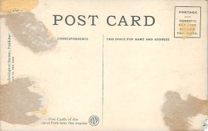 Spectacled Owl Bird Unused 