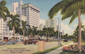 Florida Miami Biscayne Boulevard Looking North From Flagler Street