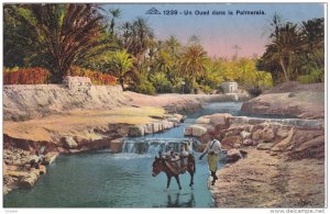 Man Crossing the River With His Donkey, LA PALMERAIE, Algeria, 00-10´s