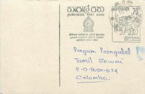 Entier Postal Stationery Postal Sri Lanka Ceylon Lion