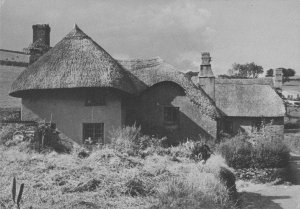 Parliament Cottages Totnes Devon Photo 1970s Exhibition Postcard
