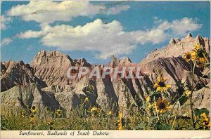 Modern Postcard Sunflowers Badlands of South Dakota