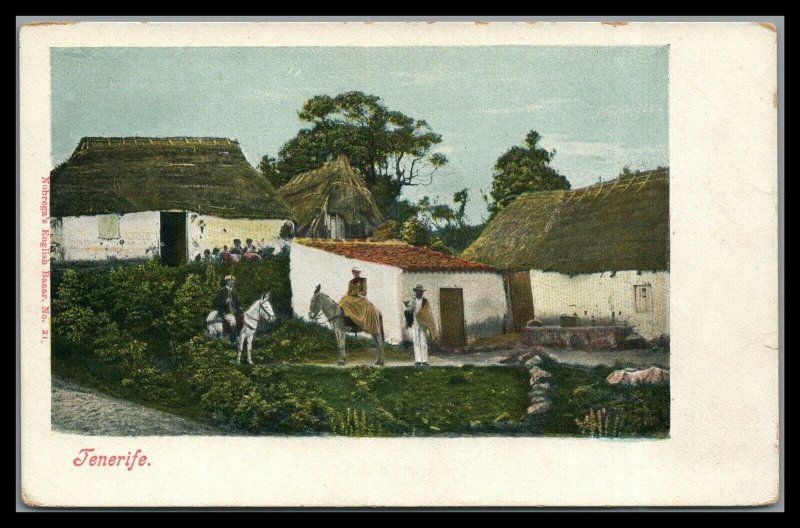 Spain Tenerife Vintage  Village scene Unused Postcard