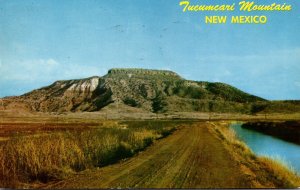 New Mexico Tucumcari Mountain 1960