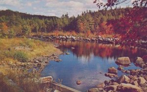 Salmon Fishing Bridge Musquodoboit River Nova Scotia Canada Postcard