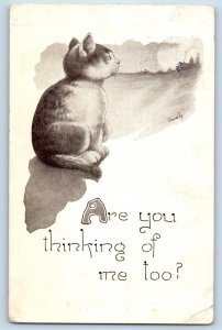 Cavally Artist Signed Postcard Cat Are You Thinking Of Me Too Lamar CO 1914