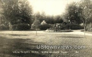 Real Photo - City Park - Bird Island, Minnesota MN Postcard