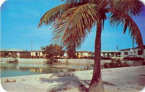 Key West Florida Hilton Haven Motel Water Front View Vintage Postcard (J13209)