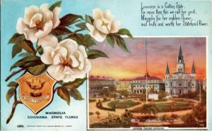 Advertising, Scheidemantel Co, Cashman & Evans Louisiana Vintage Postcard M18