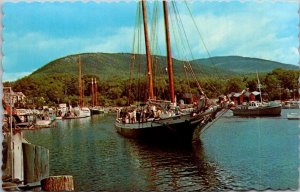 Maine Camden Harbor From Yacht Club
