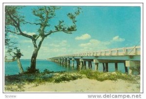 New Bridges along the Atlantic Seaboard, North Carolina, 40-60s