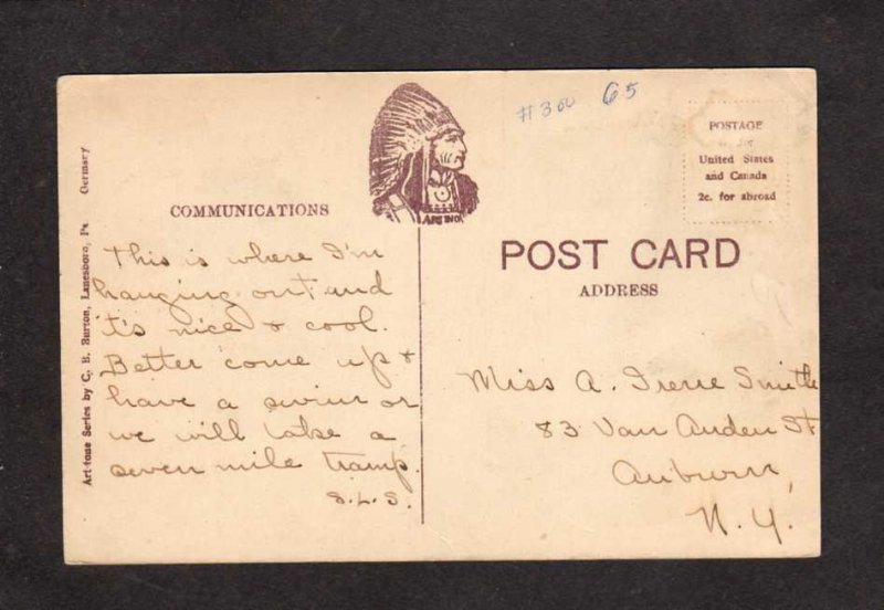 PA River Drive Columbian Grove near Susquehanna Pennsylvania Penn Postcard