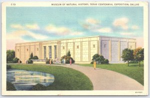 Vintage Texas Centennial Dallas Museum of Natural History Linen Postcard