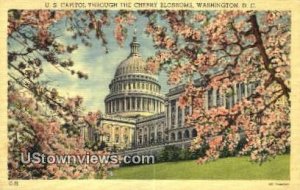 US Capitol, District Of Columbia