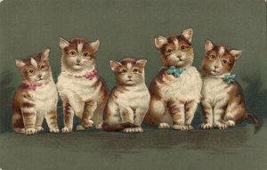 PC CATS, FIVE CATS IN BOWTIES, Vintage EMBOSSED Postcard (b47032)