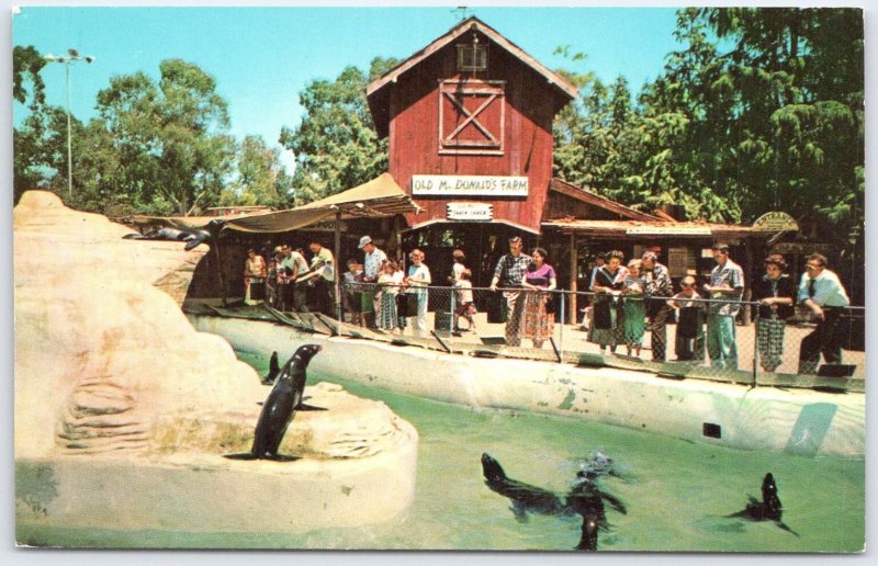 Vintage Old Mac Donald's Farm Seal Pool Postcard Knott's Berry Farm