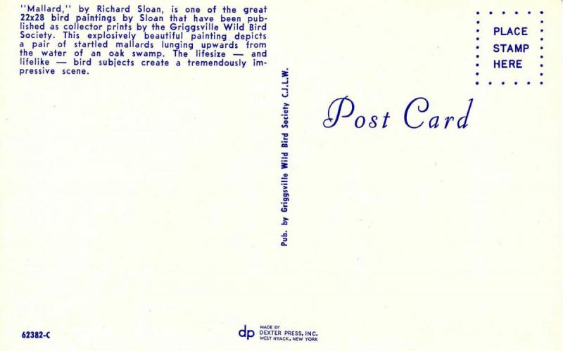 Mallard   Artist: Richard Sloan