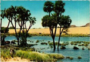 CPM Nubia – Nile View EGYPT (852943)