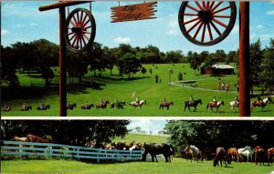 Multi View, Horseback Riding at Camp Marydale Erlanger KY Postcard P61