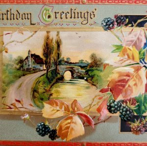 Raphael Tuck Birthday Greetings Postcard 201 1911 Blackberries Bridge PCBG5E